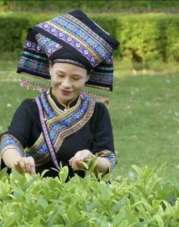广西都是壮族人吗？