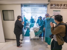 爱与奇迹：植物人母亲的非凡孕育之旅