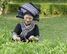 广西都是壮族人吗？