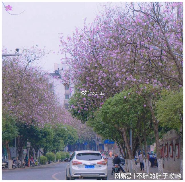 下载 (13).jpg