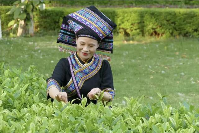 广西都是壮族人吗？