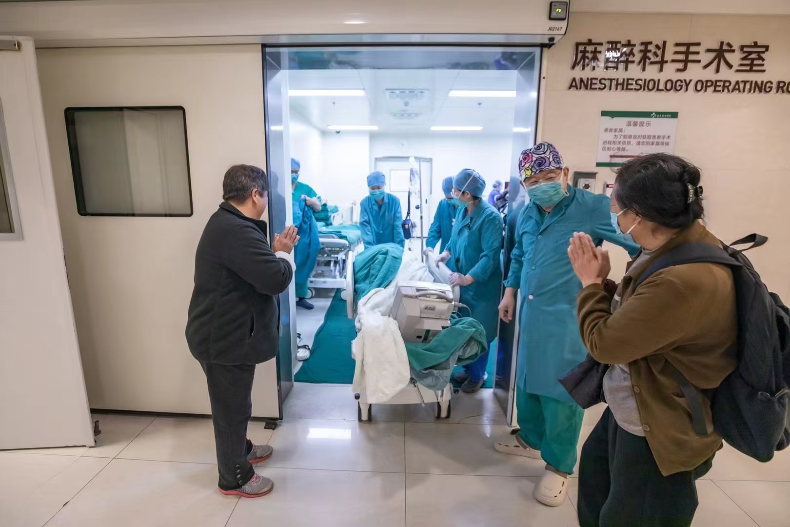 爱与奇迹：植物人母亲的非凡孕育之旅